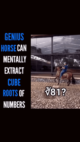 Man Riding Genius Horse Cube Roots