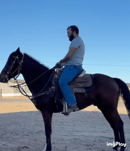 Man Riding Horse Blue Sky Imgplay