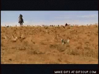 Man Riding Horse Desert Make Gifs at Gifsoup.com