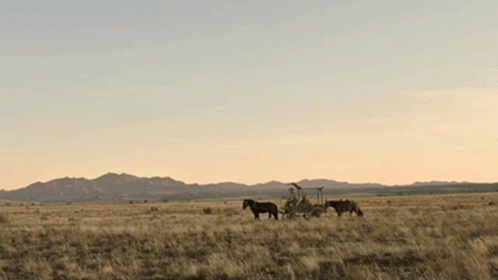 Man Riding Horse-Drawn Carriage Across Dry Grass Field