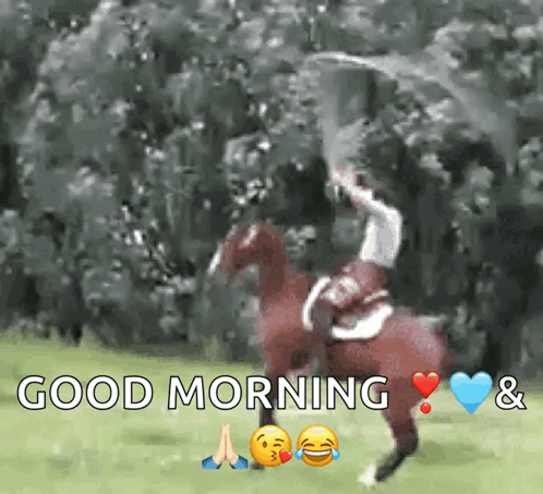 Man Riding Horse Good Morning
