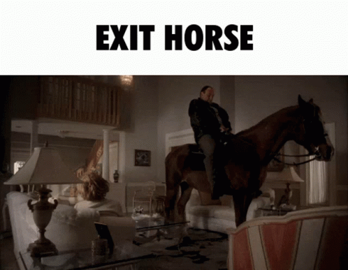 Man Riding Horse In Living Room GIF