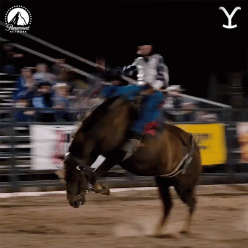 Man Riding Horse in Rodeo With Paramount Logo