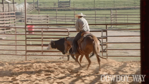Man Riding Horse Near Cowboy Way Sign GIF