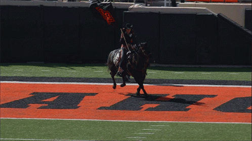 Man Riding Horse on Field With Letter F