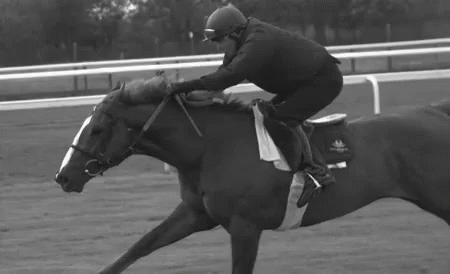 Man Riding Horse on Race Track