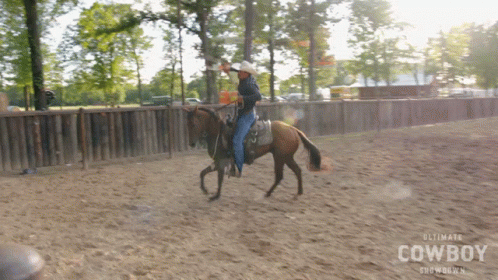 Man Riding Horse Ultimate Cowboy Showdown