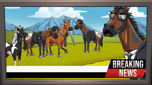 Man Riding Horse With A Helmet GIF