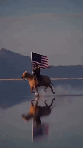 Man Riding Horse With American Flag GIF