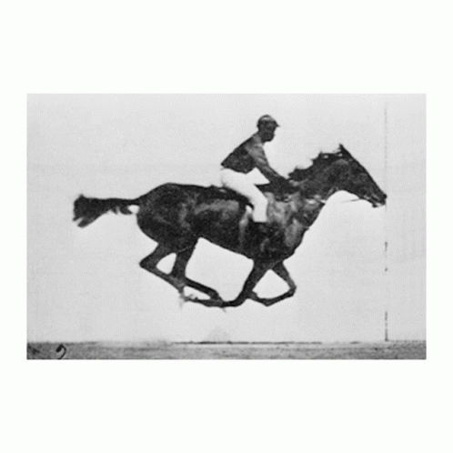 Man Riding Horse With Number 15 GIF