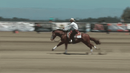 Man Riding Horse With Tag 524