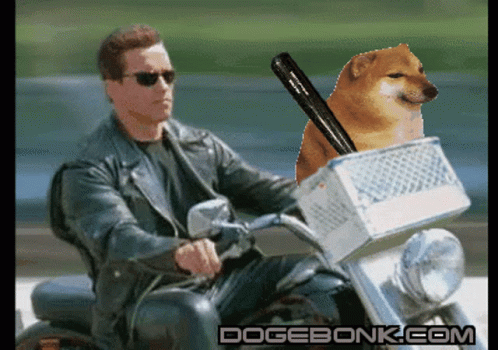 Man Riding Motorcycle Next to Dog With Baseball Bat
