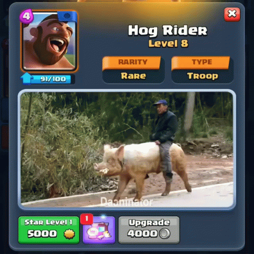 Man Riding Pig in Hog Rider Level 8