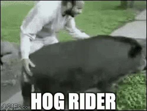 Man Riding Pig Saying Hog Rider GIF