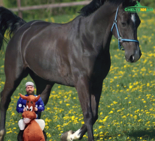Man Riding Stuffed Horse with Chltnh