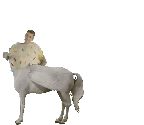 Man Riding White Pegasus