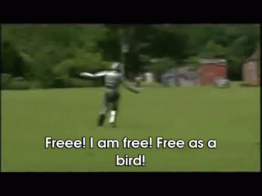 Man Running Freeee Free As A Bird GIF