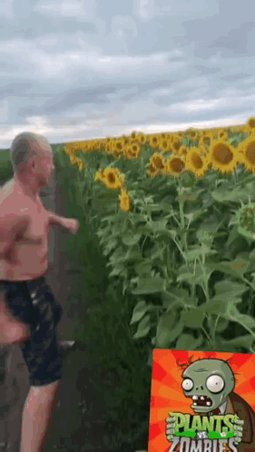 Man Running In Sunflower Field GIF