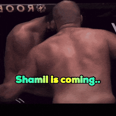 Man's Back With Words Shamil Is Coming GIF