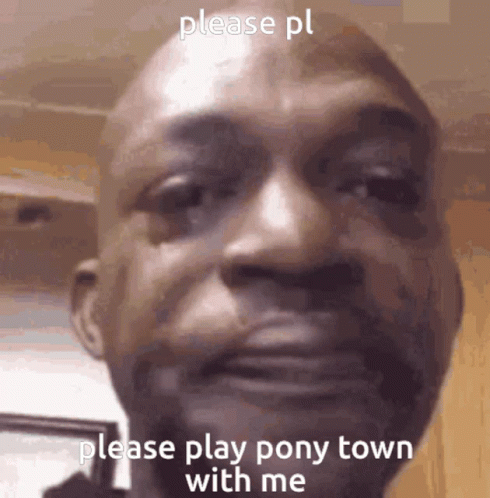 Man's Face Saying Please Play Pony Town With Me