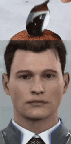 Man's Face With Bird on Head