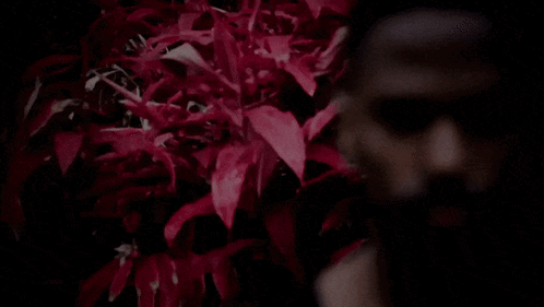Man's Face With Red Leaves