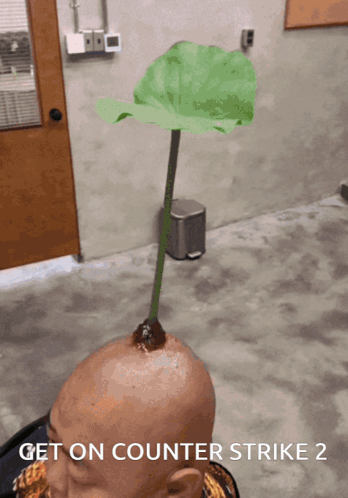 Man's Head With Plant Get on Counter Strike 2