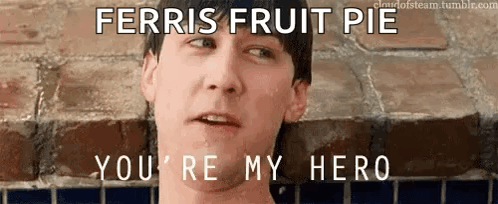 Man Saying Ferris Fruit Pie You're My Hero GIF