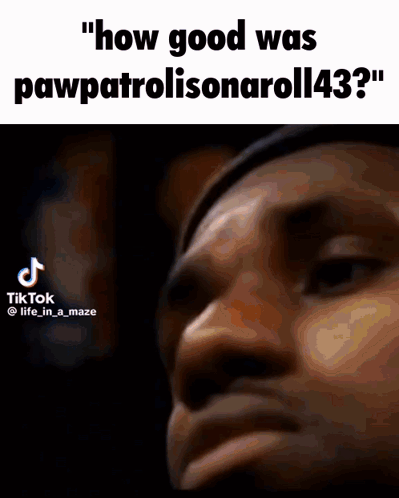 Man Saying How Good Was Pawpatrolisonaroll43 GIF