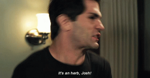 Man Saying It's an Herb Josh