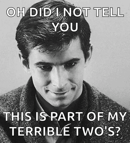 Man Saying Oh Did I Not Tell You This Is Part Of My Terrible Twos