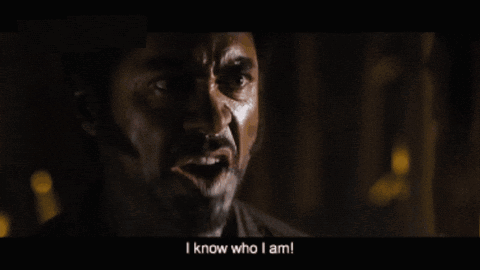 Man Says I'm A Dude Playing A Dude Disguised As Another GIF