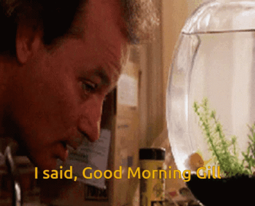 Man Says I Said Good Morning Gill To Fish Bowl GIF