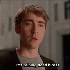 Man Says It's Raining Dead Birds GIF