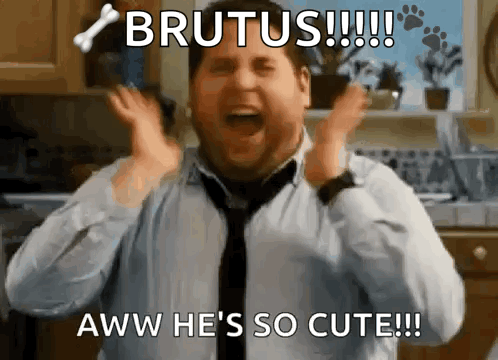 Man Screaming Brutus Aww He's So Cute
