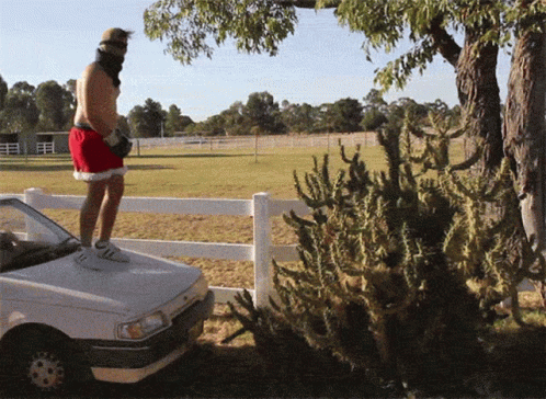 Man Shirt Off Diving Cactus GIF