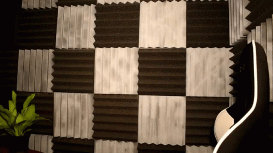 Man Shotgun Power Ready To Defend GIF