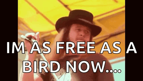 Man Singing Im As Free As A Bird Now GIF
