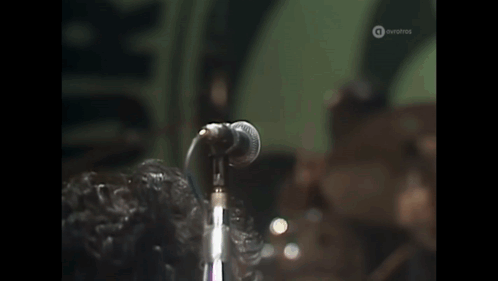 Man Singing Into Microphone Euro