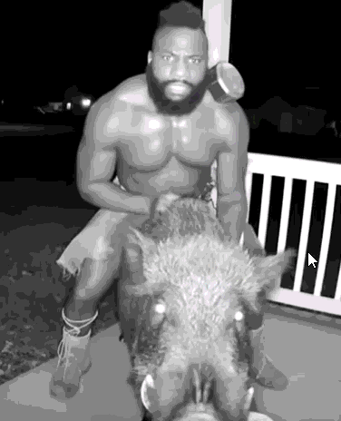 Man Sitting on Boar