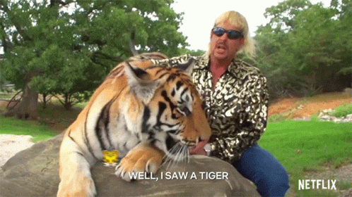 Man Sitting on Rock With Tiger Saying Well I Saw A Tiger