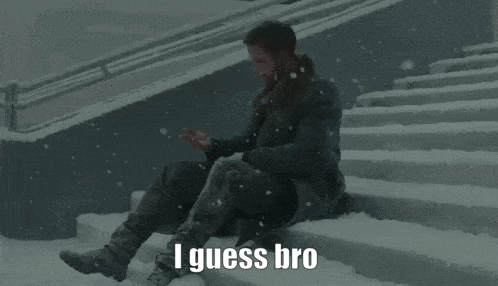 Man Sitting On Snowy Stairs Saying I Guess Bro GIF