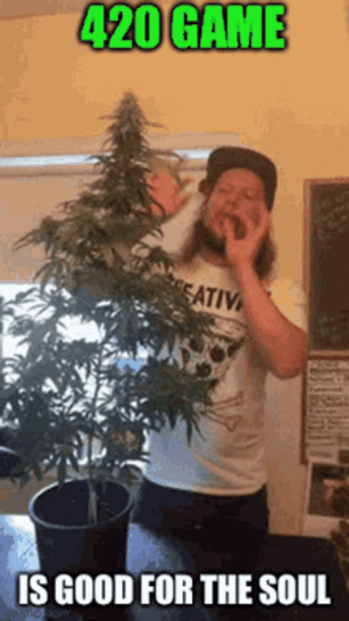 Man Smoking Weed Sign 420 Game GIF