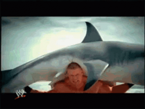 Man Standing Before Shark With W Logo