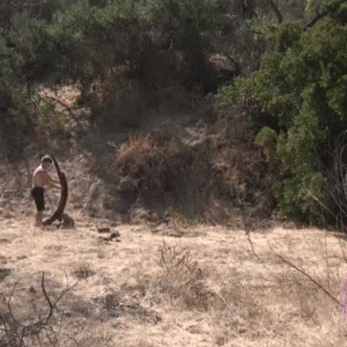 Man Standing in Dry Grassy Field With Trees