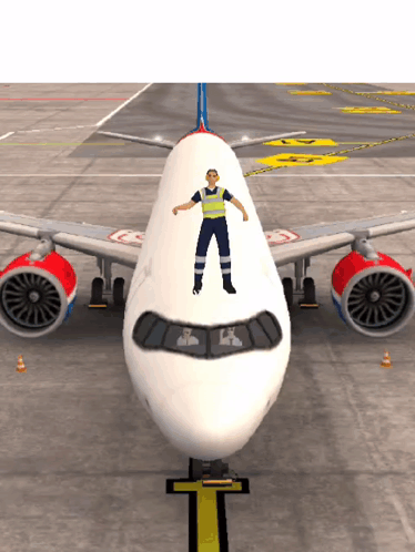 Man Standing in Front of Airplane