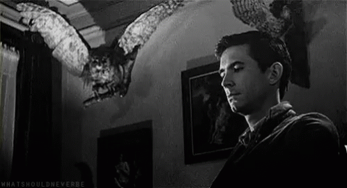 Man Standing in Front of Flying Owl