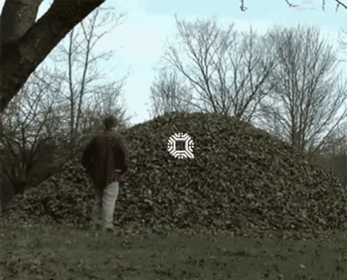 Man Standing in Front of Leaf Pile in Field