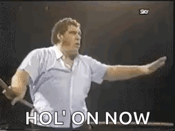 Man Standing in Front of TV With Arms Outstretched Saying Hol On Now