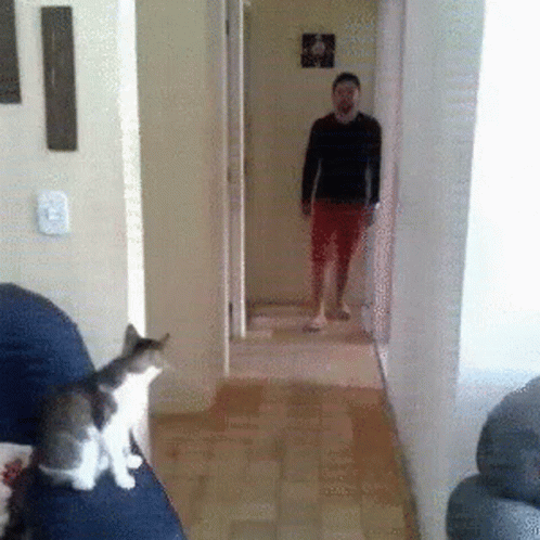 Man Standing in Hallway with Cat on Couch